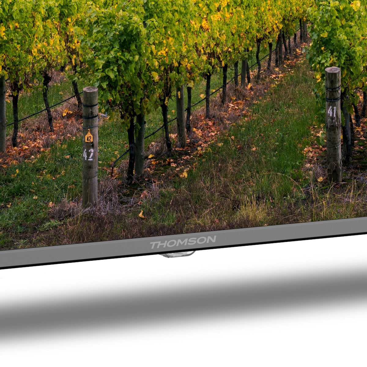 Google TV QLED