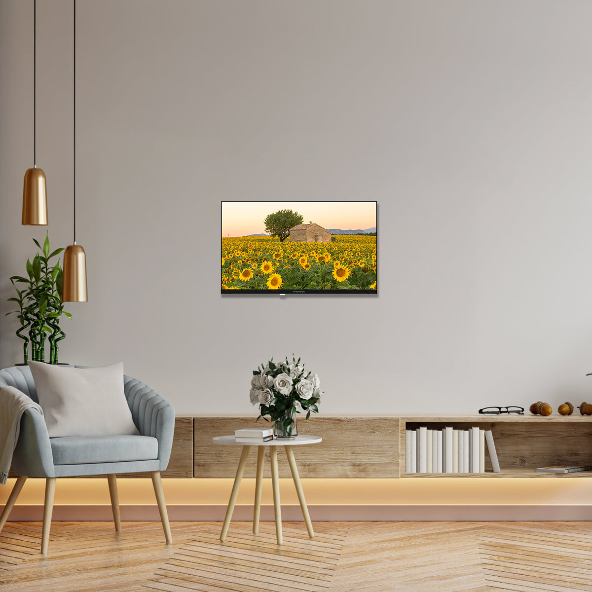 Android TV HD 12V