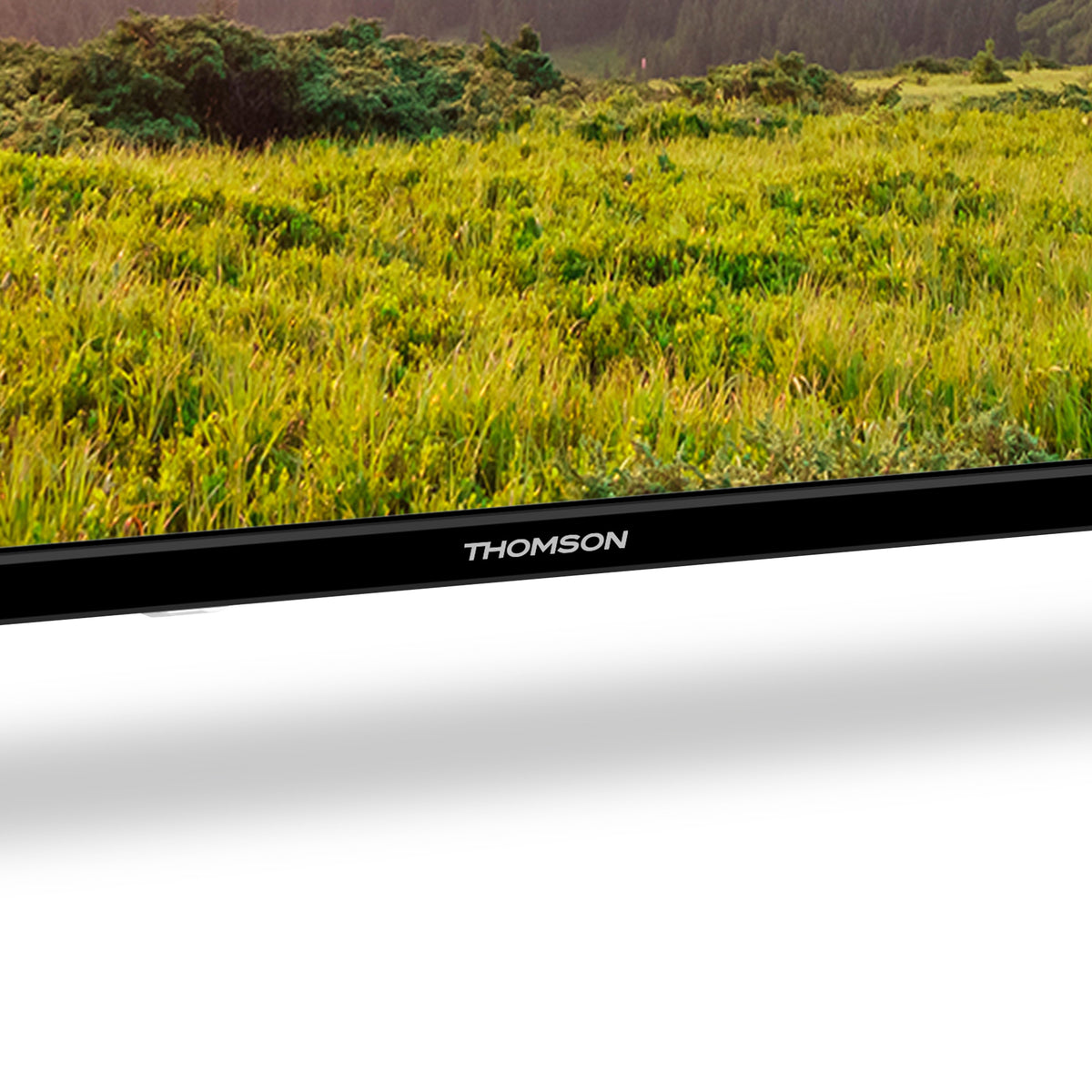 Thomson TV displaying a grassy field on the screen